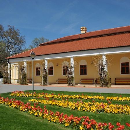 Bibi Centroom Apartment Пиещани Екстериор снимка